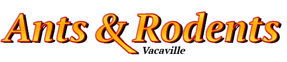 Vacaville Ant Exterminator & Rodent Control Company Logo